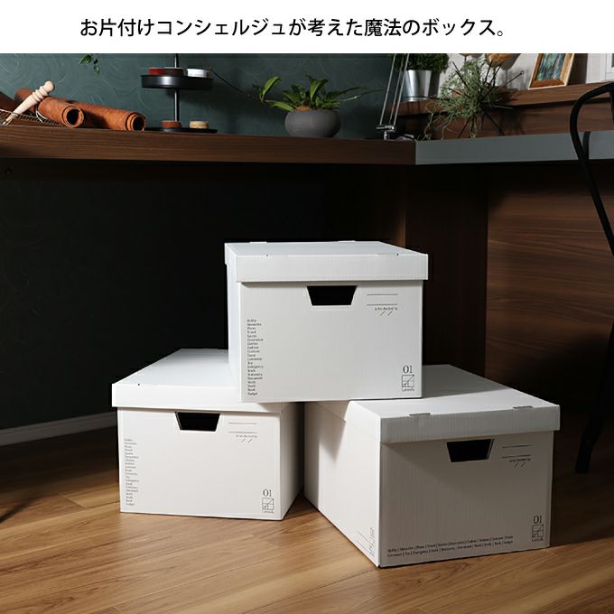 Adviser box 収納BOX 3P