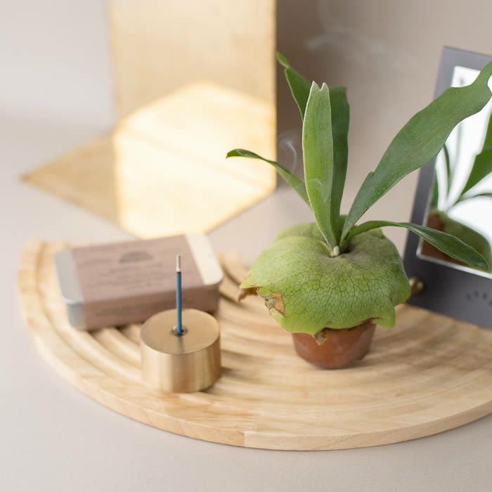 amabro アマブロ WOOD CIRCLE TRAY 植木鉢カバー Sサイズ
