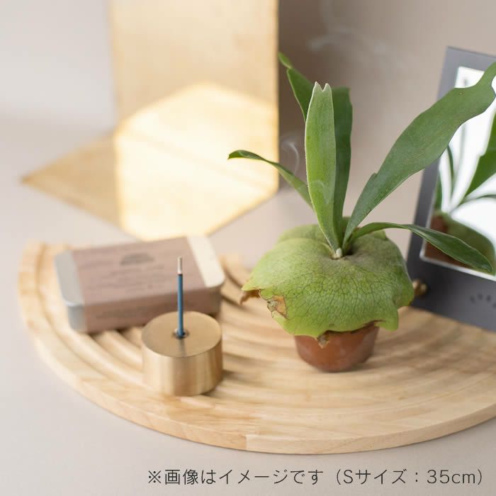 amabro アマブロ WOOD CIRCLE TRAY 植木鉢カバー Lサイズ