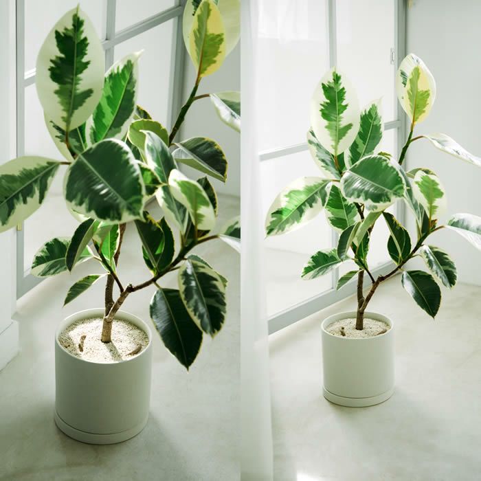 KINTO プラントポット 200×195mm